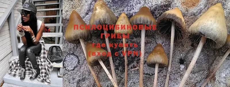 это формула  Мензелинск  Галлюциногенные грибы MAGIC MUSHROOMS 